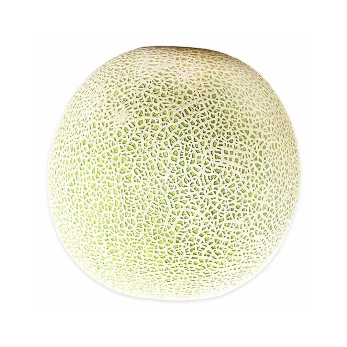 Cantaloupe Melon Fresh Organic Cut - Imagen 2